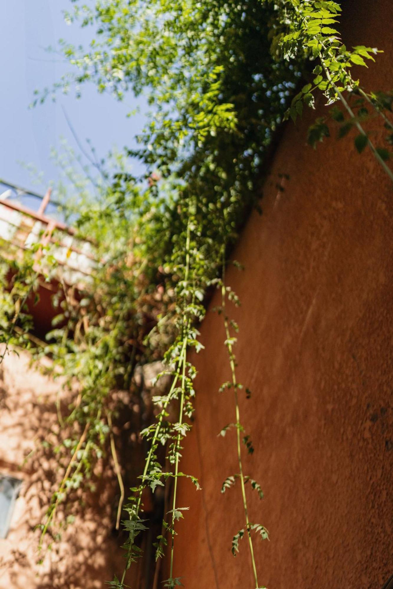 Riad Senja Marrakesz Zewnętrze zdjęcie
